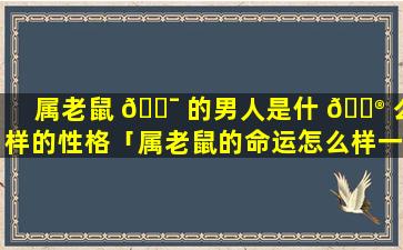 属老鼠 🐯 的男人是什 💮 么样的性格「属老鼠的命运怎么样一辈子」